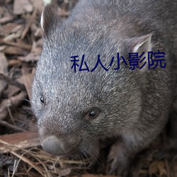金年会(中国)官方网站