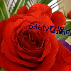 636tvֱ(b)