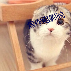 焦(焦)作电影院(院)