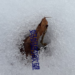 金年会(中国)官方网站