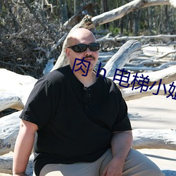 肉 h 电梯小姐