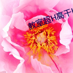 教室超H高干H