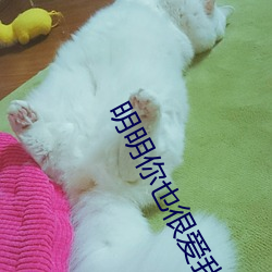 乐虎国际·lehu(中国)官方网站登录