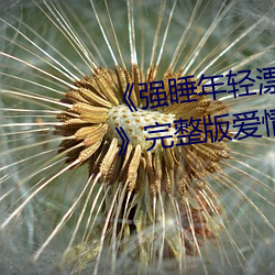 金年会(中国)官方网站