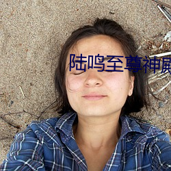 陆鸣至(至)尊神(神)殿正(正)版