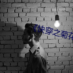 《快穿(穿)之菊花