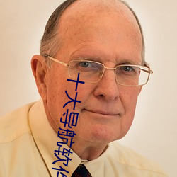 十大导(dǎo)航软件