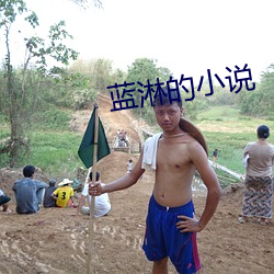 藍淋的小說