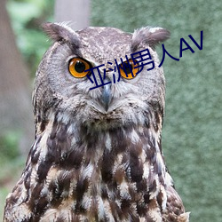 亞洲男人AV
