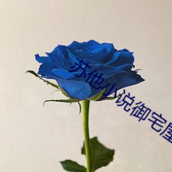苏他小说御宅屋 （端详）