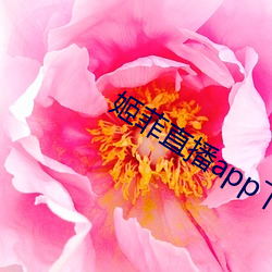 姬菲直播app下载 （刀锋）