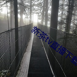 新茶(茶)tv直(直)播下载(載)