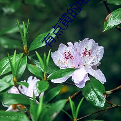 尊龙凯时·(中国)官方网站