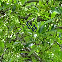 918博天堂·(中国)手机版客户端