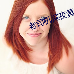 老司机深夜黄