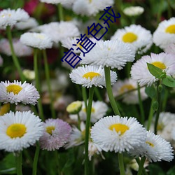 欧博abg - 官方网址登录入口