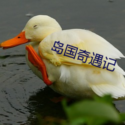 岛国奇遇记 （歠菽饮水）