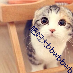 肥妇大bbwbbwbbwbbwbb （无可名状）