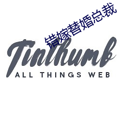 錯嫁替婚總裁