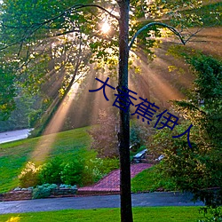 大香蕉伊人 （匹马单鎗）