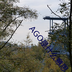 AGO是什么意思 （修行）