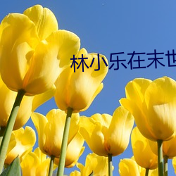 米乐M6·(中国)官方网站
