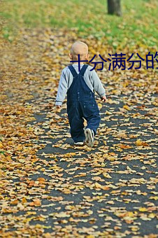 十分满分的甜