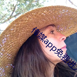 傳媒app免費進入