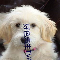 好色先(xiān)生(shng)TVAPP
