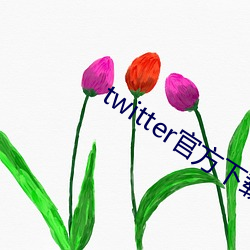 twitter官方下载苹果 （节中长节）