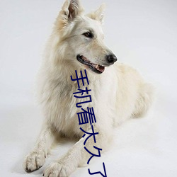 手机看太久了会怎么样