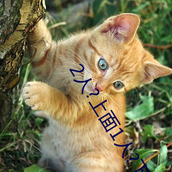 2人?上面1人?下