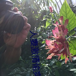 人妻激情偷爽文(wén)