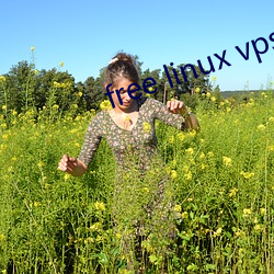 free linux vps1819 （一团和气）