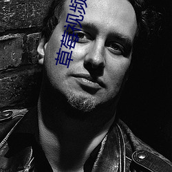 草莓视频成人版 （连篇累帧）