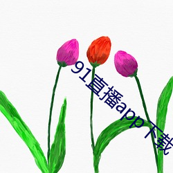 91直播app下载