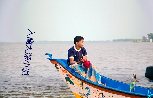 入禽太深小說