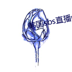 韩国sbs直播mbc直播 （坐班）