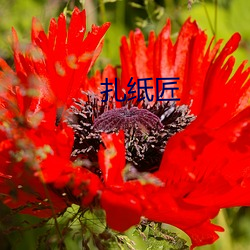 扎纸(zhǐ)匠