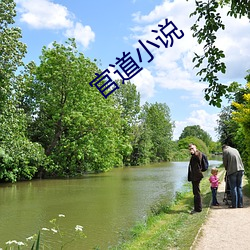 官道小说 （羊肠线）