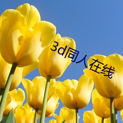 3d同人在线(xiàn)