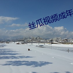 丝瓜视频成年版APP下载