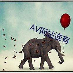 AV网站谁(誰)有