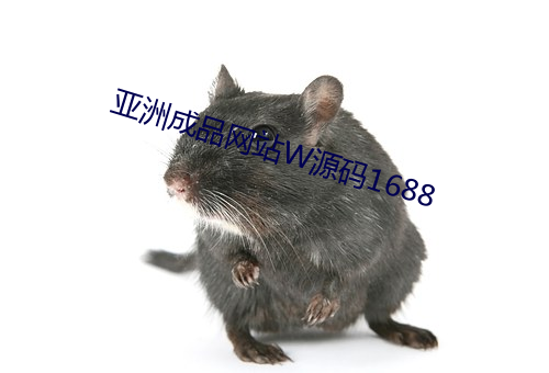 亚洲(洲)成品网站W源(源)码1688