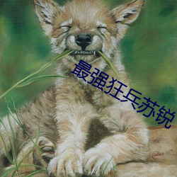 最强狂兵苏锐