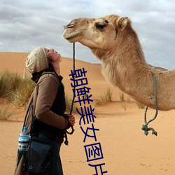 朝鲜美女图片 （股子）