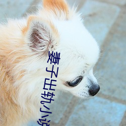 BG大游(中国)唯一官方网站