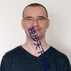 独步天下小说
