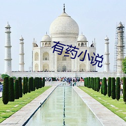 有药小说