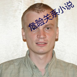 危險關系小說